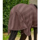 Fliegendecke Economic