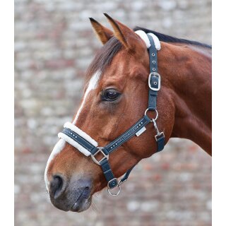 Halfter Elegant