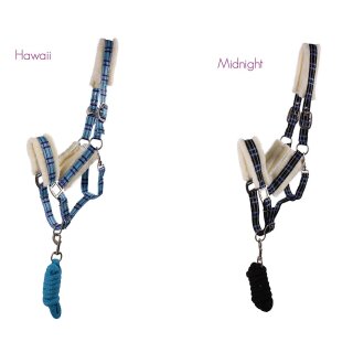 Halfter-Set