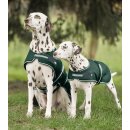 Hunde Regendecke