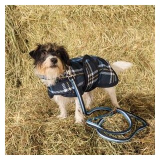 Hundedecke