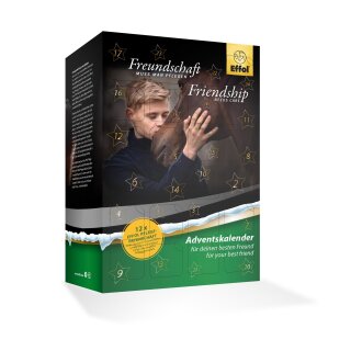 Adventskalender Effol 2021