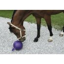 Spielball für Pferde