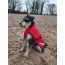 Hundedecke Freedom 50g crimson red 30cm