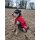 Hundedecke Freedom 50g crimson red 30cm