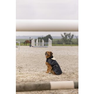 Hundemantel Teddy aus Nylon