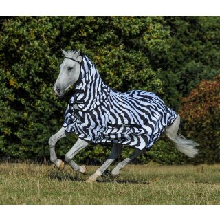 Pony Sweet-itch Zebra