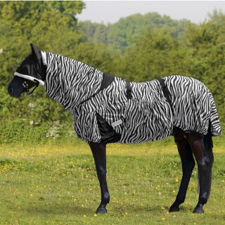Ekzemdecke Zebra