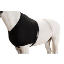 Eskadron Brustschutz