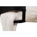 Eskadron Brustschutz