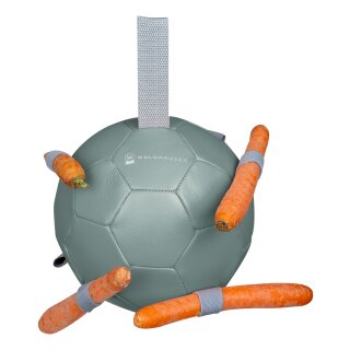 Karotten-Spielball