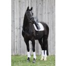 Gamaschen Pro Dressage Vorne