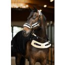 Führmaschinendecke Delta II Fleece + 50g