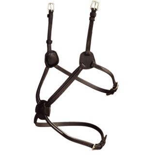 Reithalfter Mexikanisch