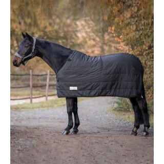 Thermo Unterdecke 200g