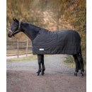 Thermo Unterdecke 200g