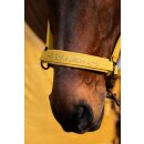 Platinum Halfter Double Pin Faux Leather