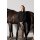 Platinum Stiefel- & Helmtasche