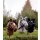 Hobby Horse Blacky