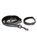 Hunde-Set KLMacey