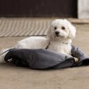 Hunde-Set KLMacey