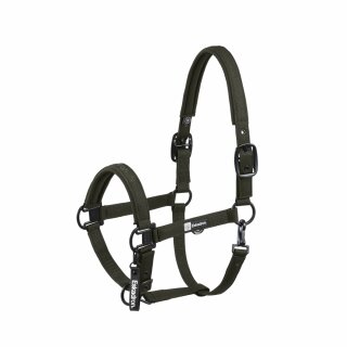 Dynamic Halfter Sparkle Double Pin