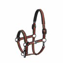Dynamic Halfter Double Pin