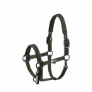 Dynamic Halfter Double Pin