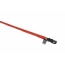 Dynamic Strick Regular PH