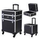 Putzkoffer IRHDisco black