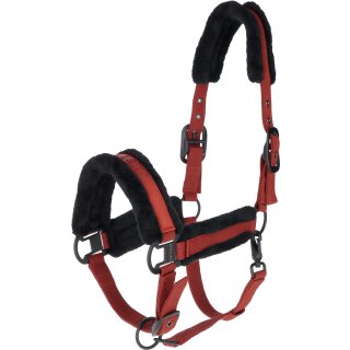 Covalliero Halfter
