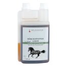 Mönchspfeffer liquid