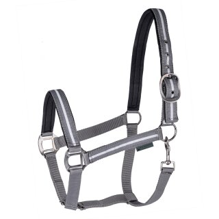 Halfter REFLEX Stripe