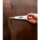 Digital-Fieberthermometer für Pferde