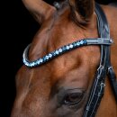 Stirnriemen IRHGrande