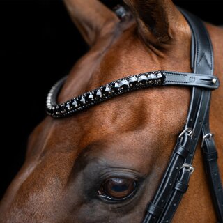 Stirnriemen IRHMaxima