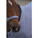 CS Fliegendecke Cooler Fly