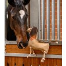 Pferdespielzeug Dackel Dieter