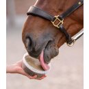 StableSnack Leckschale 650g