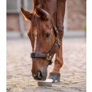 StableSnack Leckschale 650g