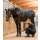 Health+Care TecSupreme Gamasche