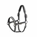 Platinum Halfter Double Pin