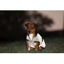 Reflectglow Dog Rug