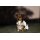 Reflectglow Dog Rug