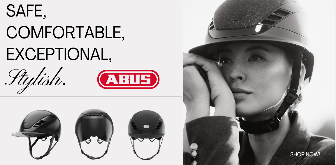 Abus Reithelme