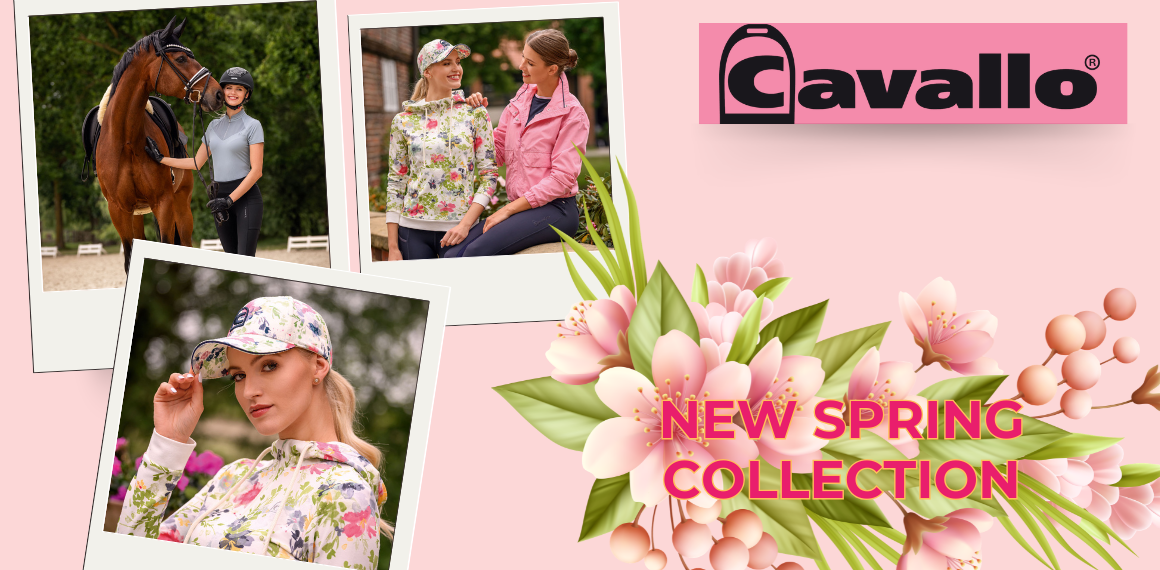Entdecke die neue Cavallo Kollektion