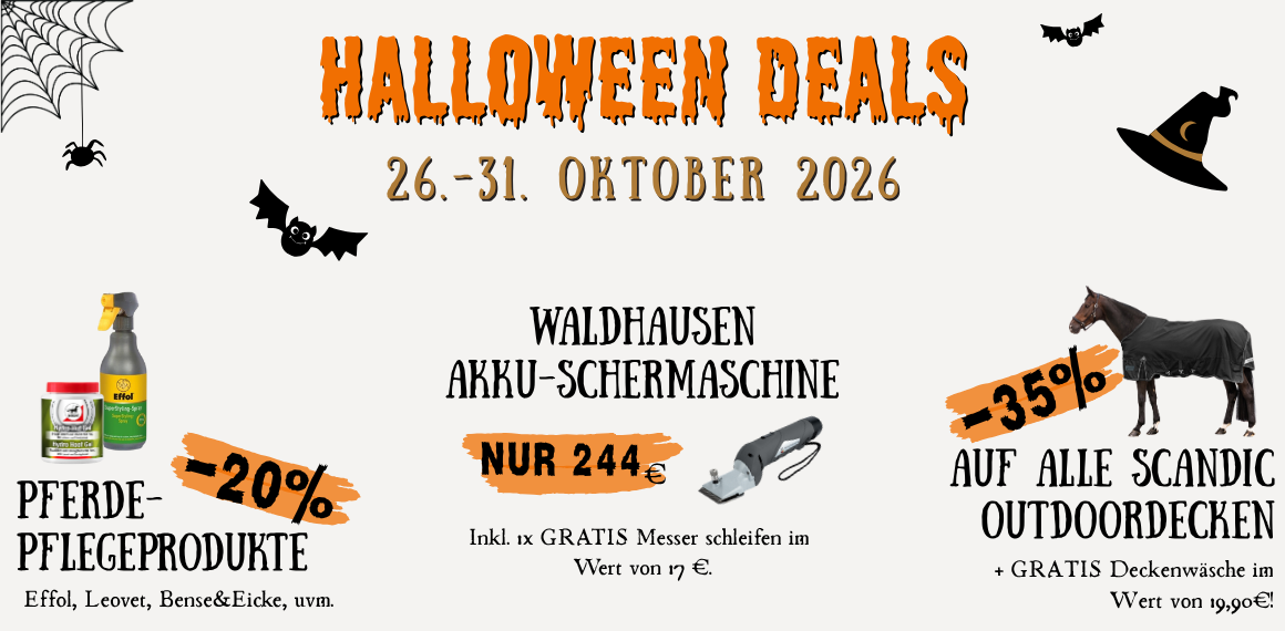 Unsere Halloween Angebote!