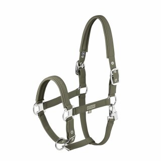 150 dusty olive