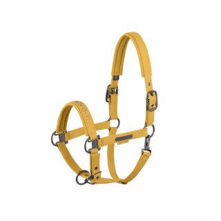 630 golden yellow