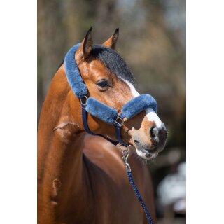 cornet blue